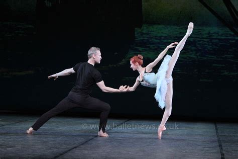 Russian Ballet Icons 的图像结果