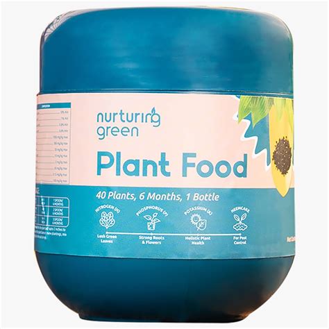 Nurturing Green® All-in-One Plant Food (400gm, granules) | Provides ...
