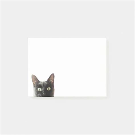 Image result for Cat Post It Notes