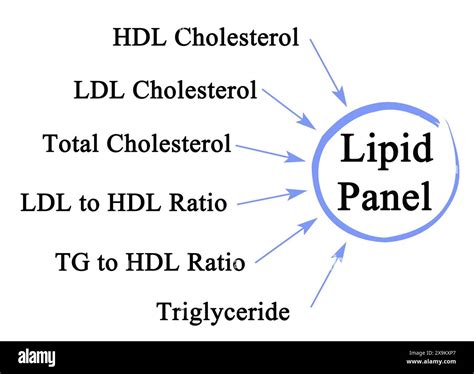 what Parameters Are Shown in Lipid Panel Stock Photo - Alamy