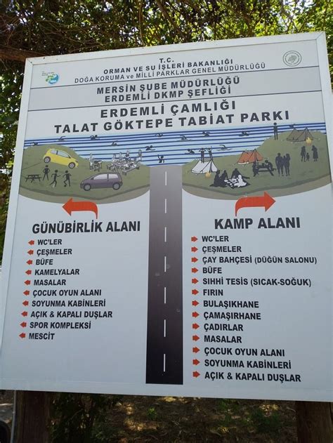 TALAT GOKTEPE ORMAN KAMPI (Erdemli, Mersin (Icel)) - Campground Reviews ...