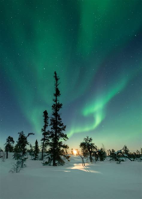 Northern lights finland – Artofit