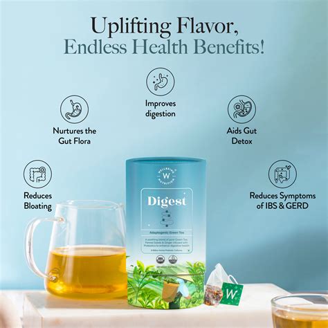 Digest - Adaptogenic Green Tea to Enhance Digestive Health