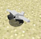 Image result for Minecraft Crow Mod