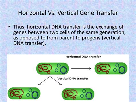 Horizontal gene transfer in bacteria | PDF