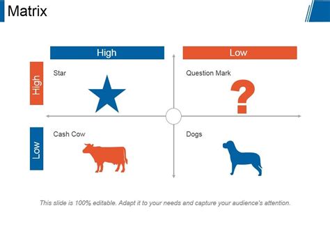 Image result for Matrix Presentation Example