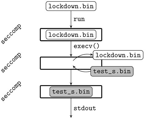 Practical Programming Exams with Automated Assessment Improve Student ...
