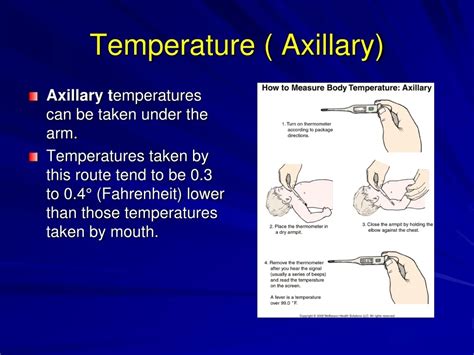 Image result for Mini Catalytic Converter O2 Sensor