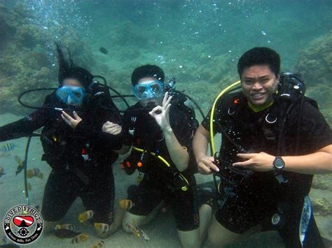 DIVE DISTRICT (2025) All You Need to Know BEFORE You Go (with Photos ...