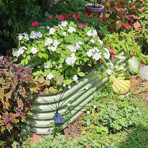 Top Perennial Vegetables That Thrive in Raised Beds