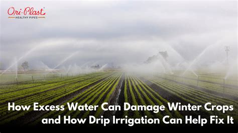 Homemade PVC Pipe Irrigation 的图像结果