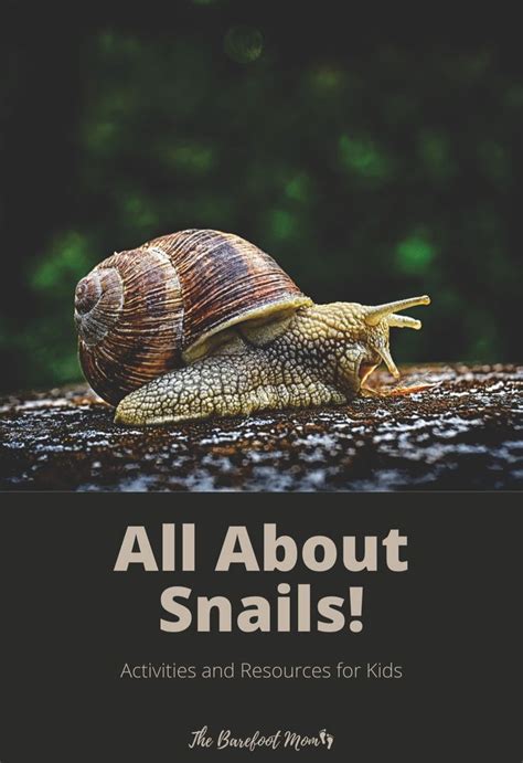 Image result for Snails Learning