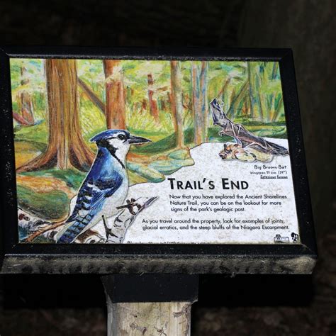 Sidie Hollow County Park (Viroqua): All You Need to Know