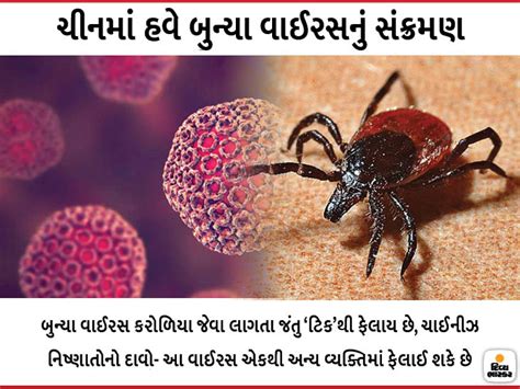 Tick borne SFTS Virus Re emerges In China All About The Disease Novel ...