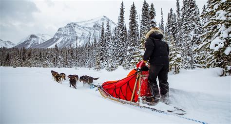 Sleigh Rides & Dog Sledding in Banff and Lake Louise | Banff & Lake ...