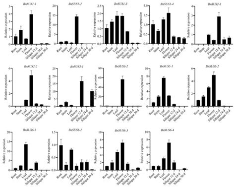 Genome-Wide Identification and Evolutionary Analysis of Sucrose ...