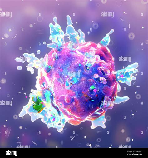 Cell udergoing lysis process, illustration Stock Photo - Alamy