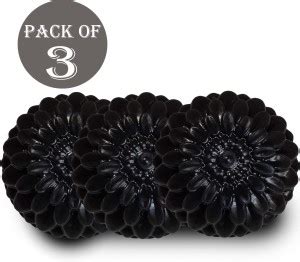 Briana Professional Activated Charcoal Bath Soap for Deep Cleaning and ...