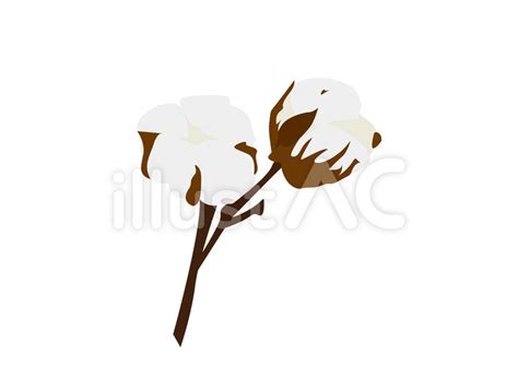 Image result for Dynamo If Python Example