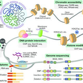 Image result for High Throughput Sequencing Applications