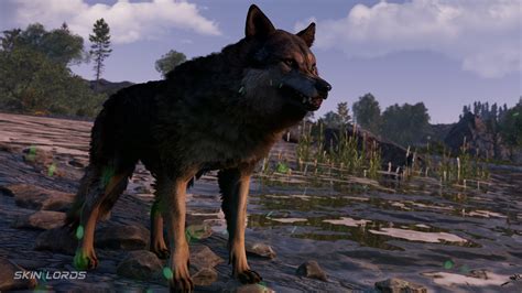 Rust Overview 的图像结果