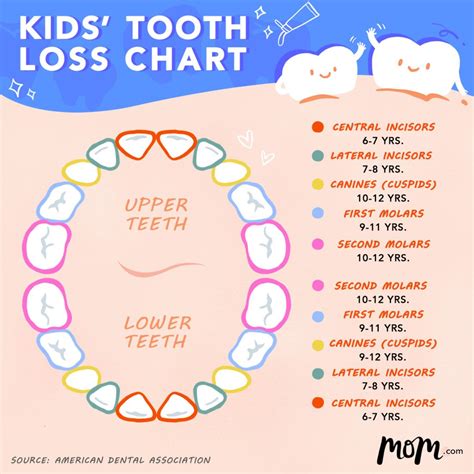 8 Things to Know About Kids' Tooth Loss | Kids teeth, Tooth chart, Kids ...