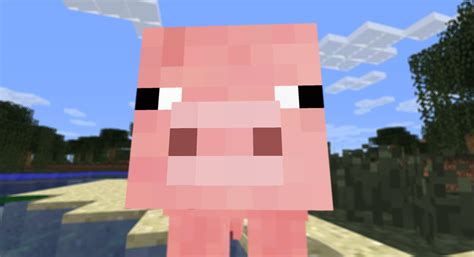 🔥 [40+] Minecraft Pig Wallpapers | WallpaperSafari