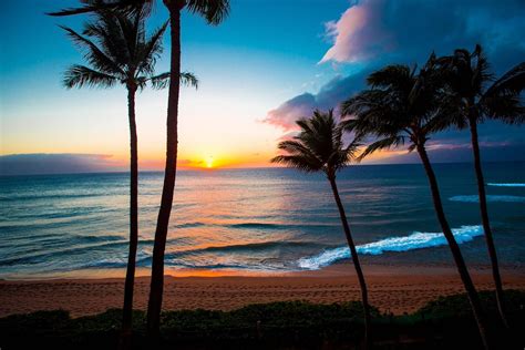 THE BEST Ka'anapali Shopping Hotels 2025 (with Prices)