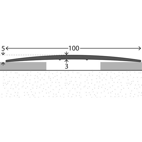 CARL PRINZ Übergangsprofil, BxH: 100 x 5 mm, ungelocht - hagebau.de