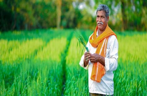 अब हरियाणा के किसान करेंगे इन फलों की खेती, हर जिले में खुलेगी टेस्टिंग ...