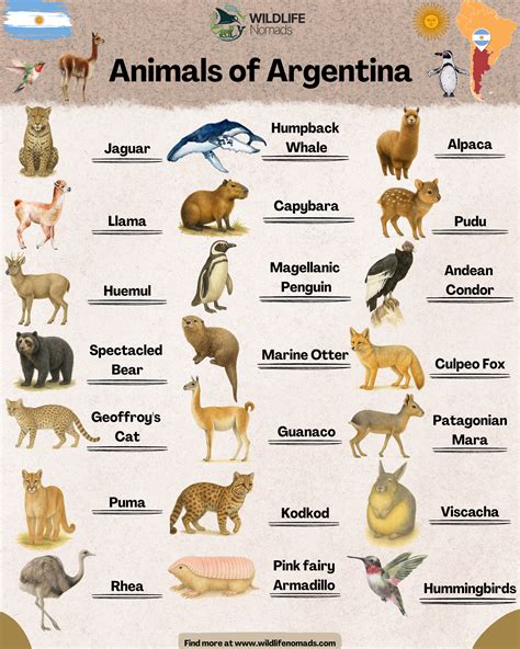 Animals of Argentina | Argentina animals, South america animals ...