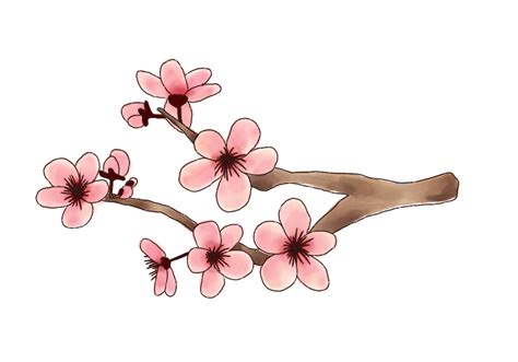Easy To Draw Cherry Blossom Trees 17+ Japanese Cherry Blossom Tree