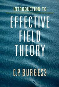 Introduction to Effective Field Theory: Buy Introduction to Effective ...