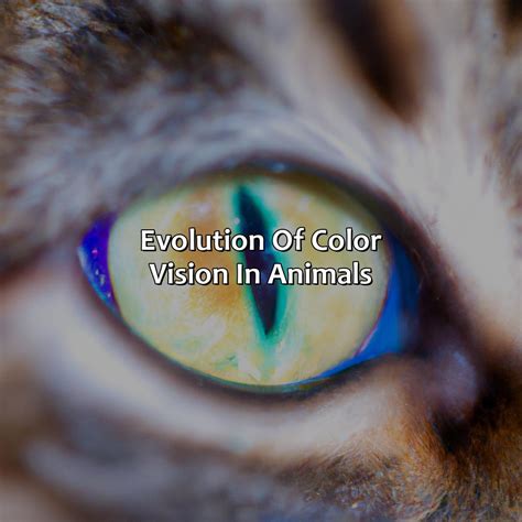 How Animals See Color 的图像结果