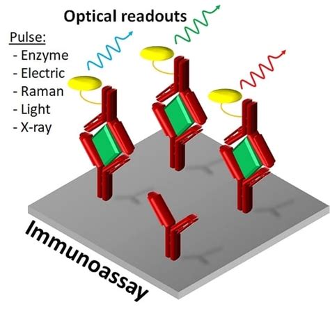 Optical Immunoassays Methods in Protein Analysis: An Overview