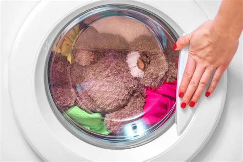Image result for Bear Washing Machine