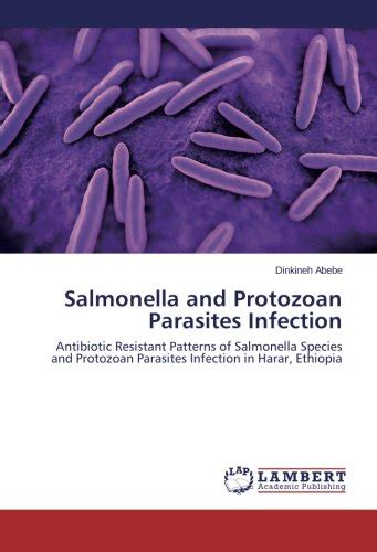 Buy Salmonella and Protozoan Parasites Infection: Antibiotic Resistant ...