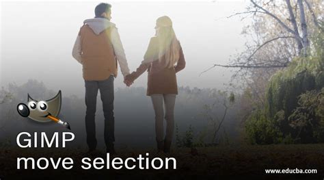 Image result for GIMP Selection Tool Tutorial