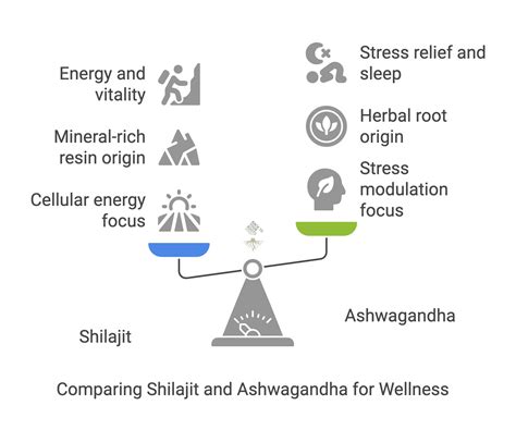 Shilajit And Ashwagandha: Benefits, Comparison & Combined Use