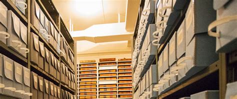 Image result for SQL Transform