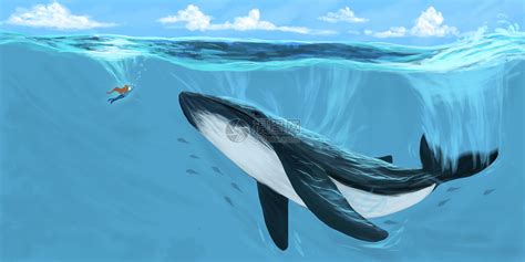 世界海洋日海洋生物海中的鲸鱼插图片素材免费下载 - 觅知网