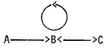 Vector Representation 的图像结果