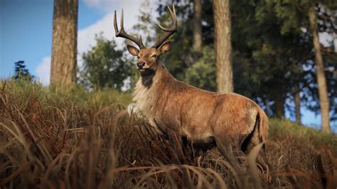 Image result for Rust Creatures