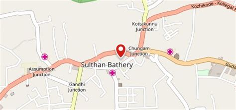 Indian Coffee House, Sultan Bathery - Restaurant menu, prices and reviews