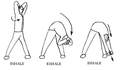Image result for Pandiculation Exercises for Lower Back