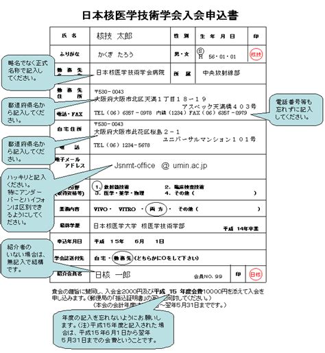 Knapsack Dynamic Programming 的图像结果