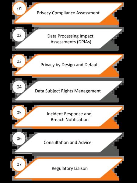 Image result for Role of Data Protection Officer Simple Explanation