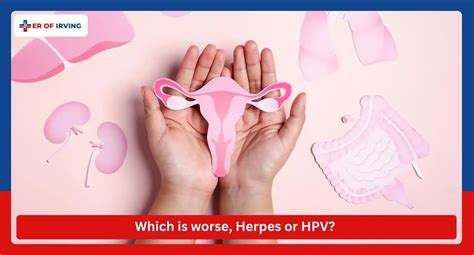 Understand the difference between HPV vs Herpes