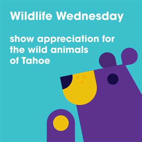 Lake Tahoe Earth Week – Wildlife Wednesday | TahoeDailyTribune.com