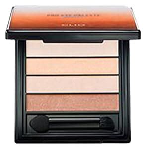 Buy CLIO Pro Eye Palette Quad, 01 Amber Slip Online at Low Prices in ...